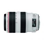 Canon EF 70-300mm f/4-5.6L IS USM